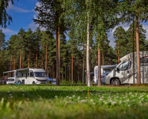 Several white motorhomes and RVs parked at a scenic campground surrounded by tall pine trees under a blue sky.